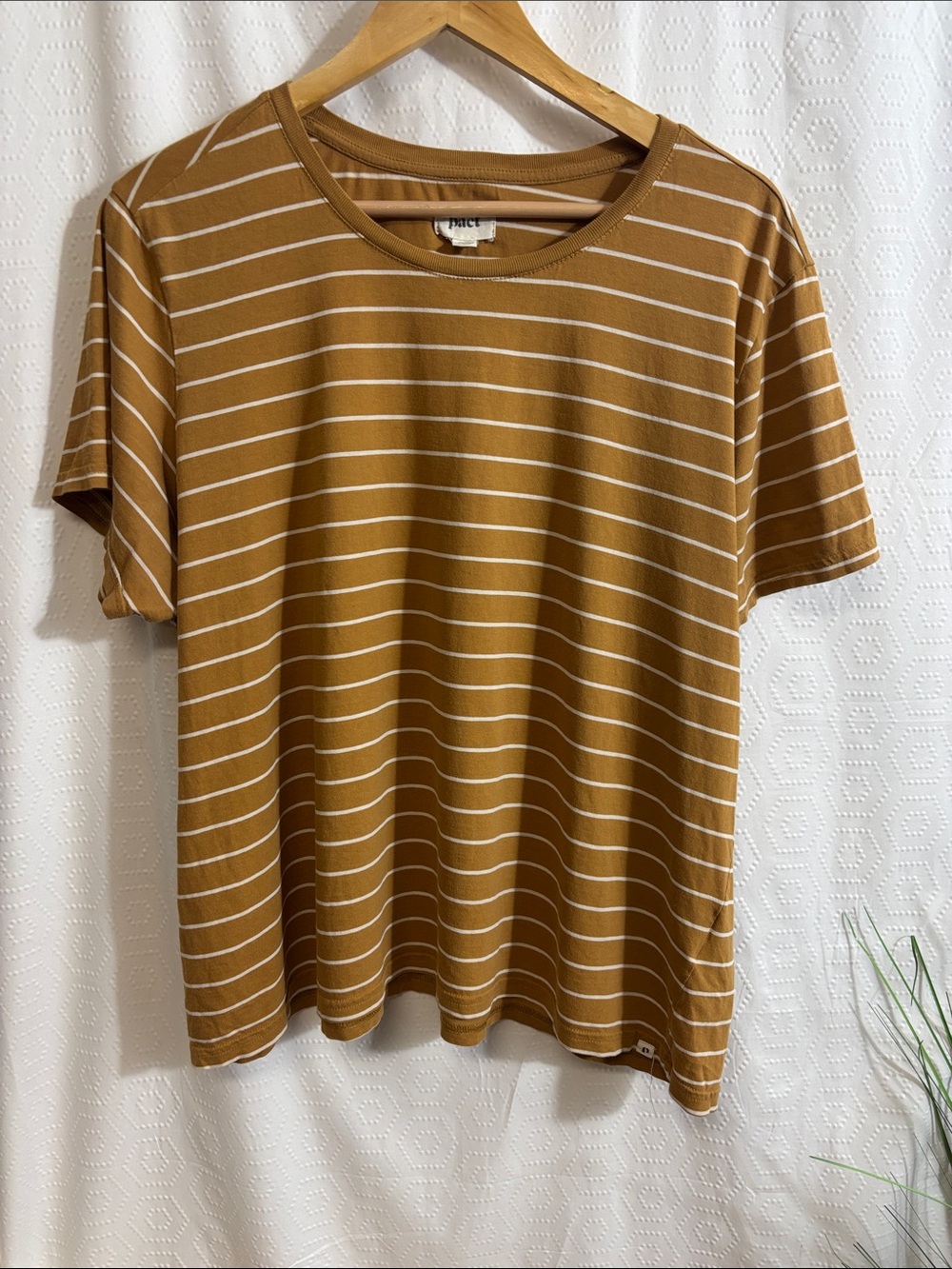 Pact Short Sleeve Shirt Women's Stripped Burnt Orange Organic Cotton